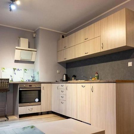 Mini Apartament Cracow / Krakow Z M. Postojowym Apartment Ngoại thất bức ảnh